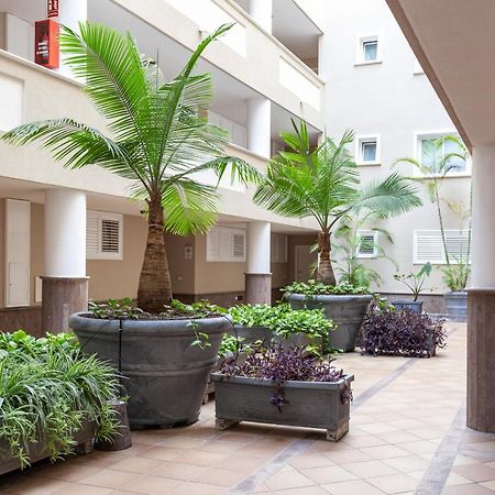 Apartamento Ocean View Puerto de Santiago  Exterior foto
